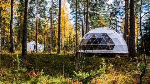 Igloo Glamping