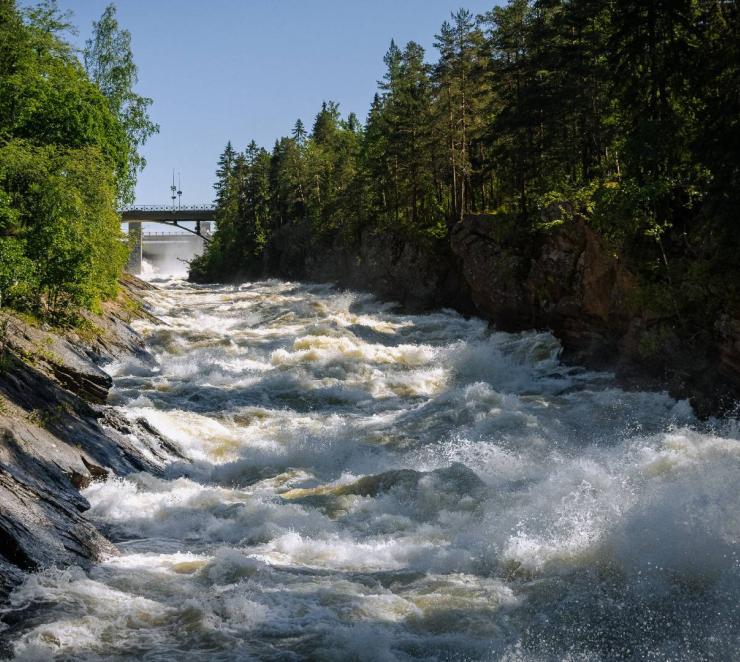 Imatrankosken kuohut