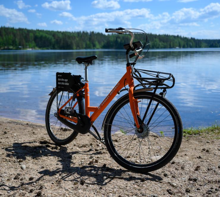 Oranssi lähikuvassa taustalla sinisenä kimmeltävä vesi